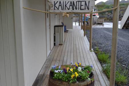 Kaikanten Rorbuer Sennesvik Exterior foto